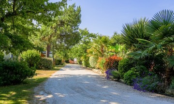 Les atouts du domaine Les atouts du domaine