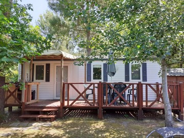 Photinia climatisé n°10