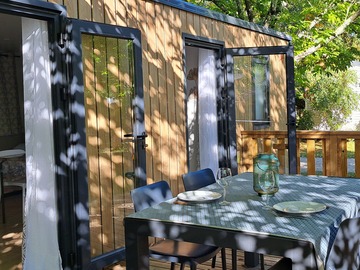 ARENGA N°4 - Nouveauté 2025 PREMIUM