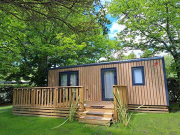 ARENGA N°4 - Nouveauté 2025 PREMIUM