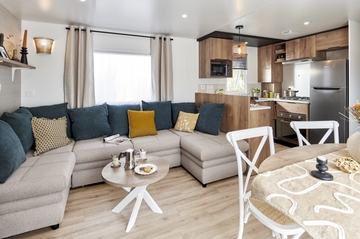 BUDDLEIA N°19 - Nouveauté 2025 PREMIUM PLUS