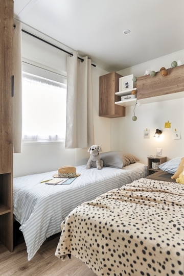 BUDDLEIA N°15 - Nouveauté 2025 PREMIUM PLUS