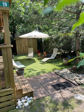 BUDDLEIA N°19 - Nouveauté 2025 PREMIUM PLUS