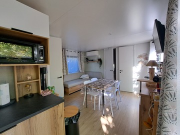 ARENGA N°4 - Nouveauté 2025 PREMIUM