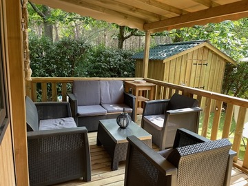 BUDDLEIA N°19 - Nouveauté 2025 PREMIUM PLUS