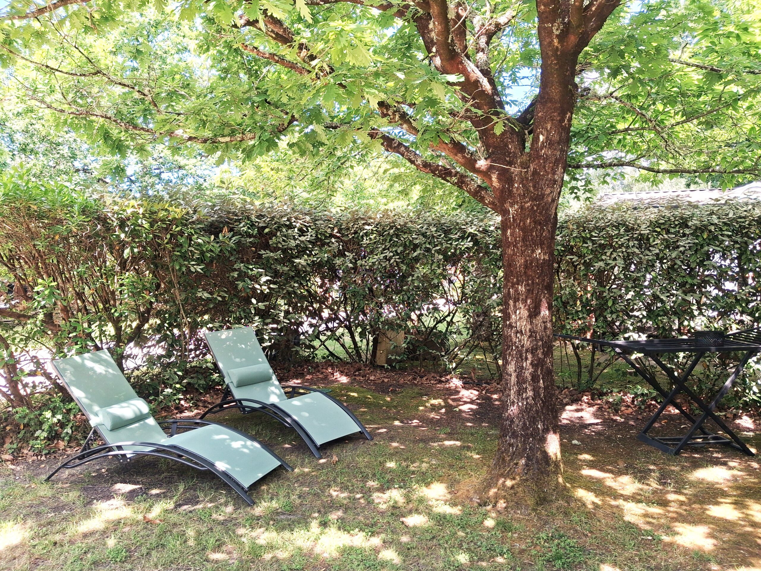 Deux chaises longues vert clair sous l'ombre d'un grand arbre dans un jardin ensoleillé avec une haie.