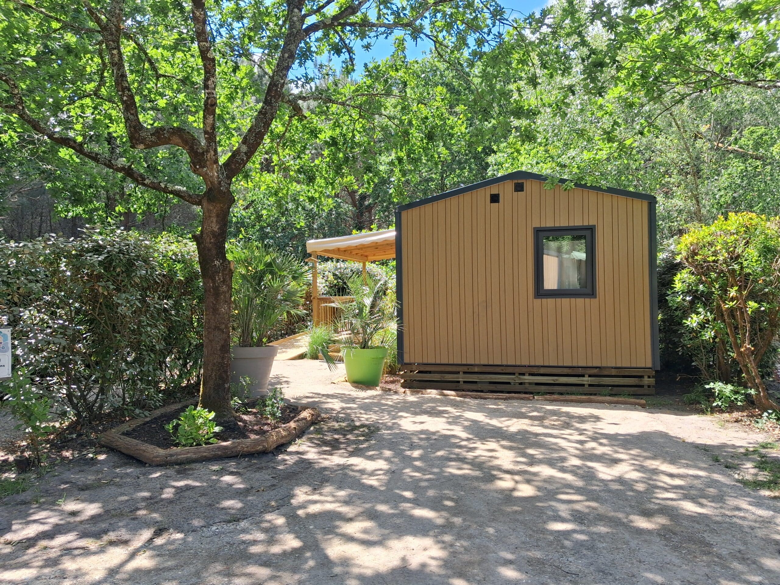 Mobil-home moderne en bois niché dans une forêt ensoleillée avec terrasse et plantes exotiques en pots.