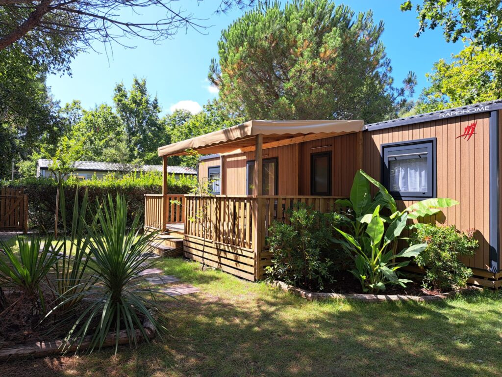 BUDDLEIA N°15 CAMPING HOURTIN