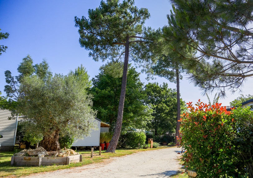 CAMPING FAMILIAL NATURE