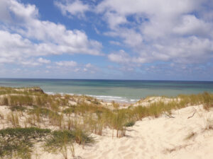 HOURTIN PLAGE_edited