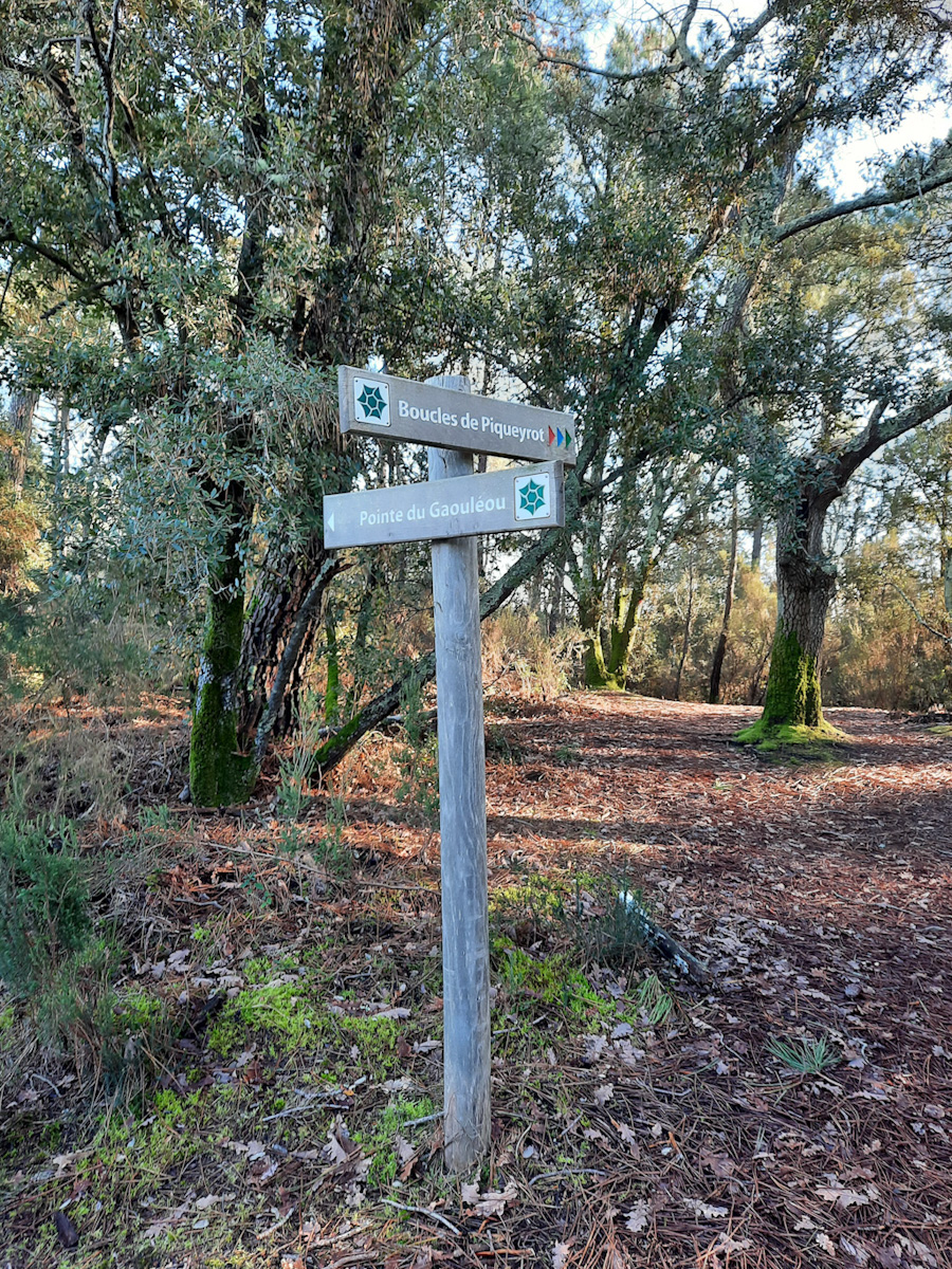 RANDONNEES PEDESTRES LAC D HOURTIN