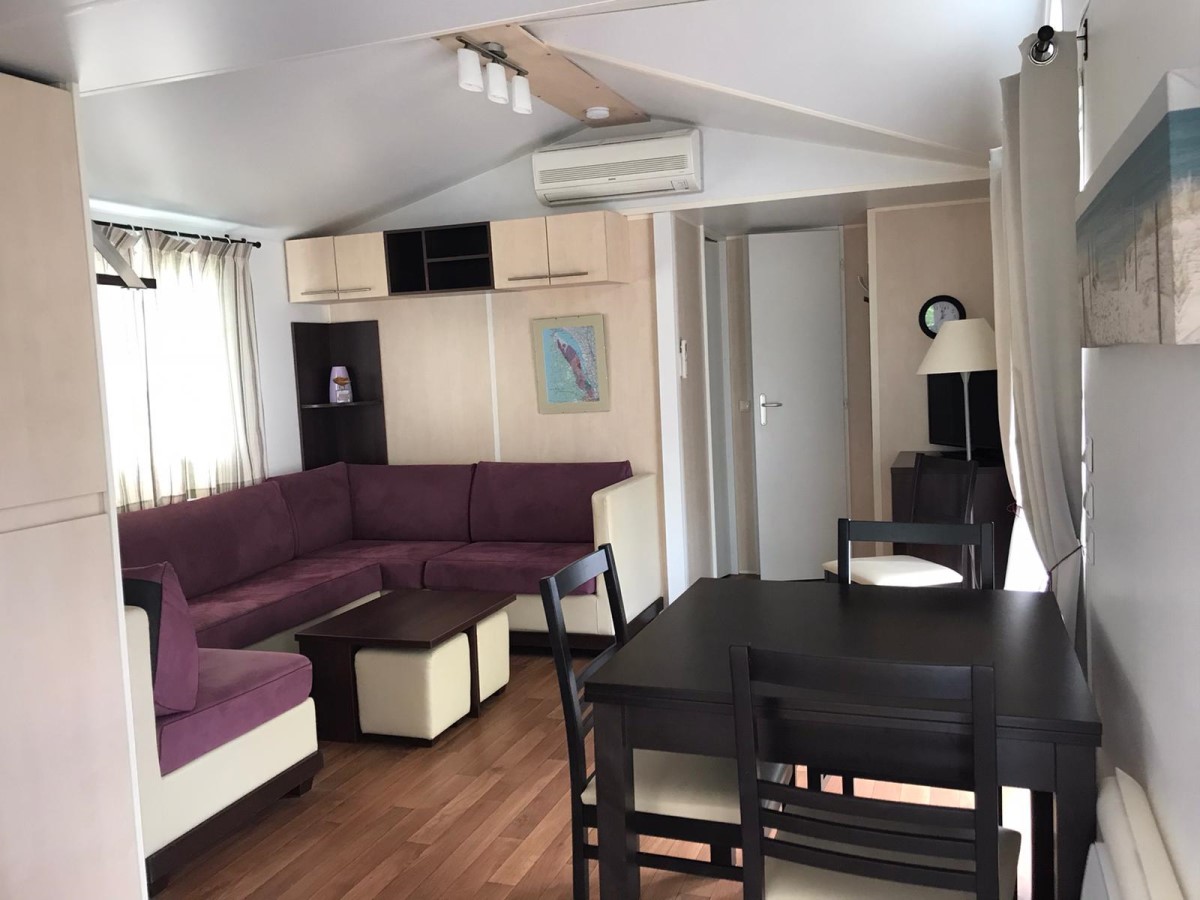 salon 2020 2 – Copie