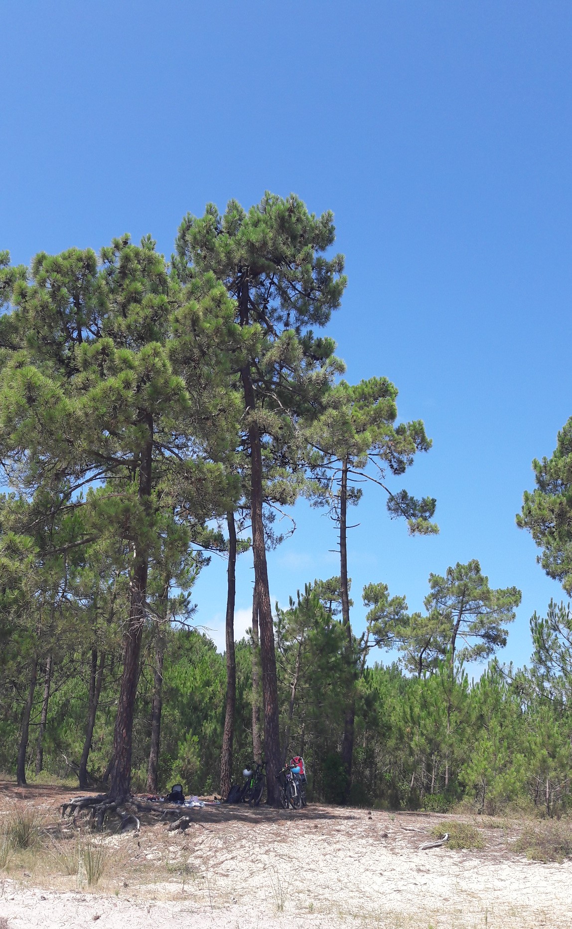 VELO AU BORD DU LAC D HOURTIN