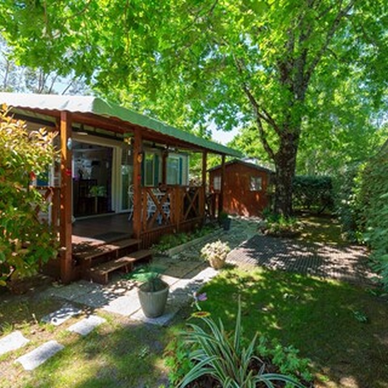 Location Chalet Bois Ombragé avec Terrasse Camping. Bungalow de location en bois avec terrasse ombragée et escalier. Jardin verdoyant d'un camping, grand platane et petite cabane.