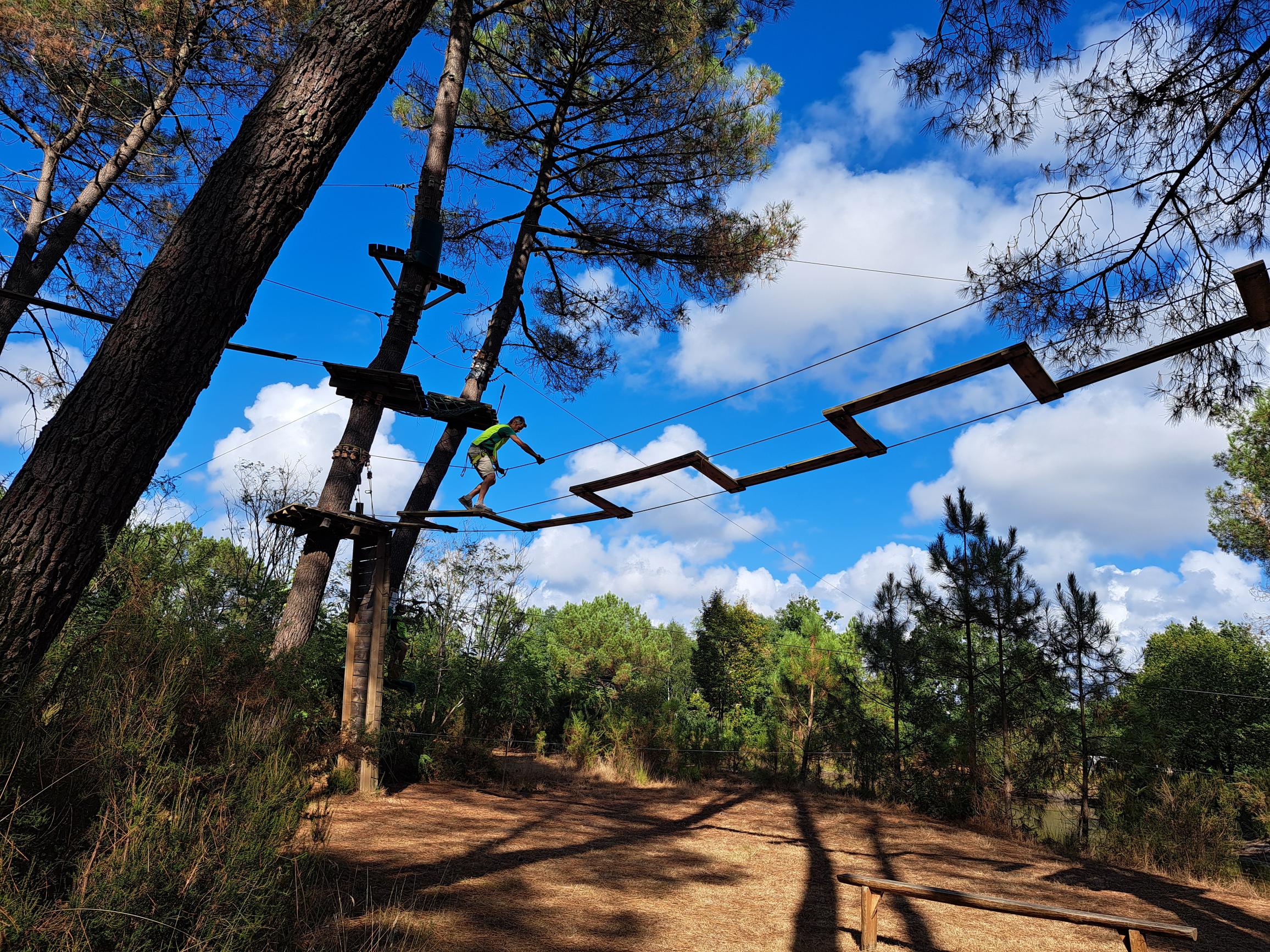 Homme marchant sur un pont en zigzag lors d'un parcours d'accrobranche dans une forêt de pins sous un ciel bleu.