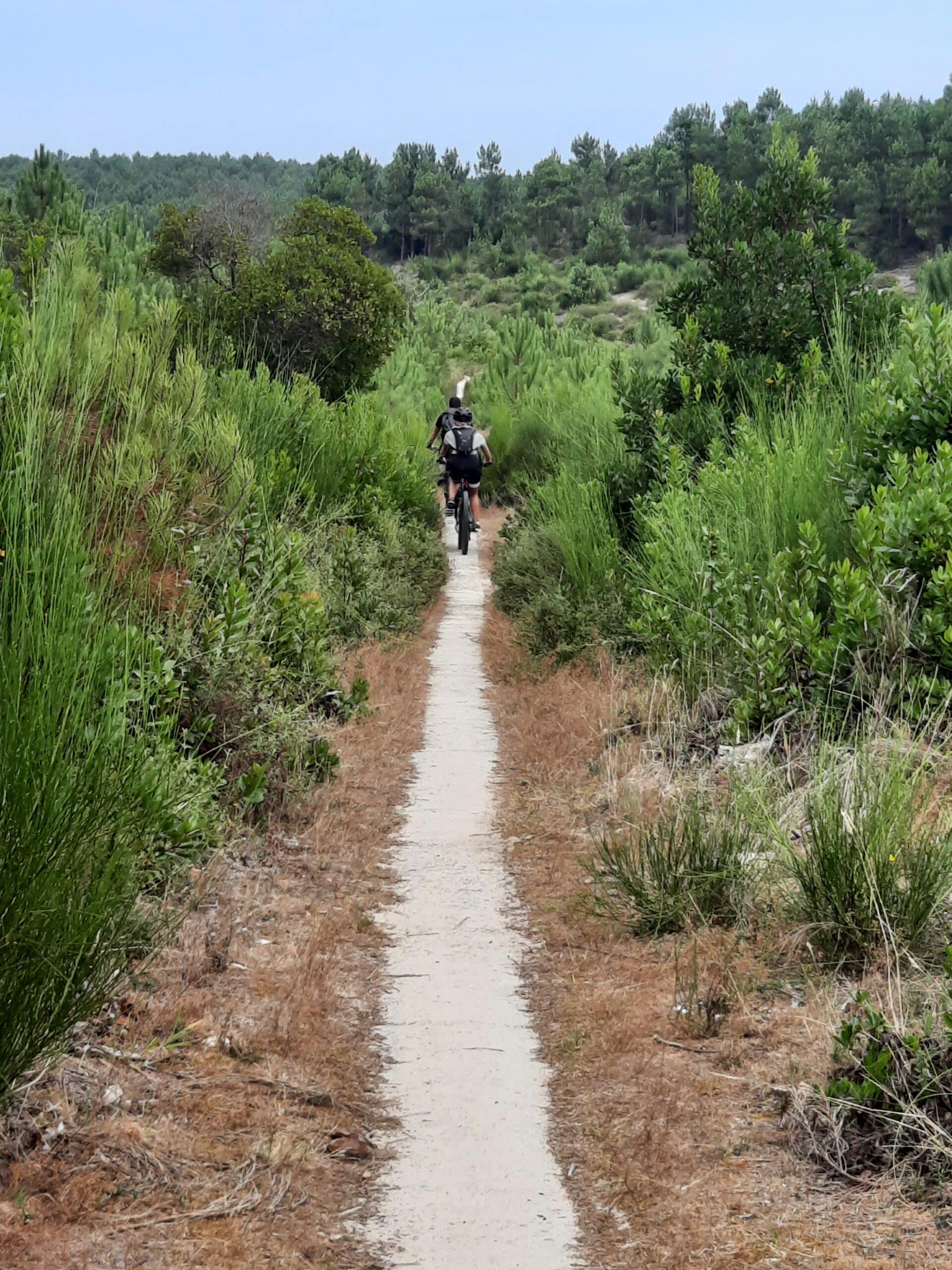 Deux cyclistes parcourent un étroit sentier blanc entouré d'une végétation dense et de pins sous un ciel clair.