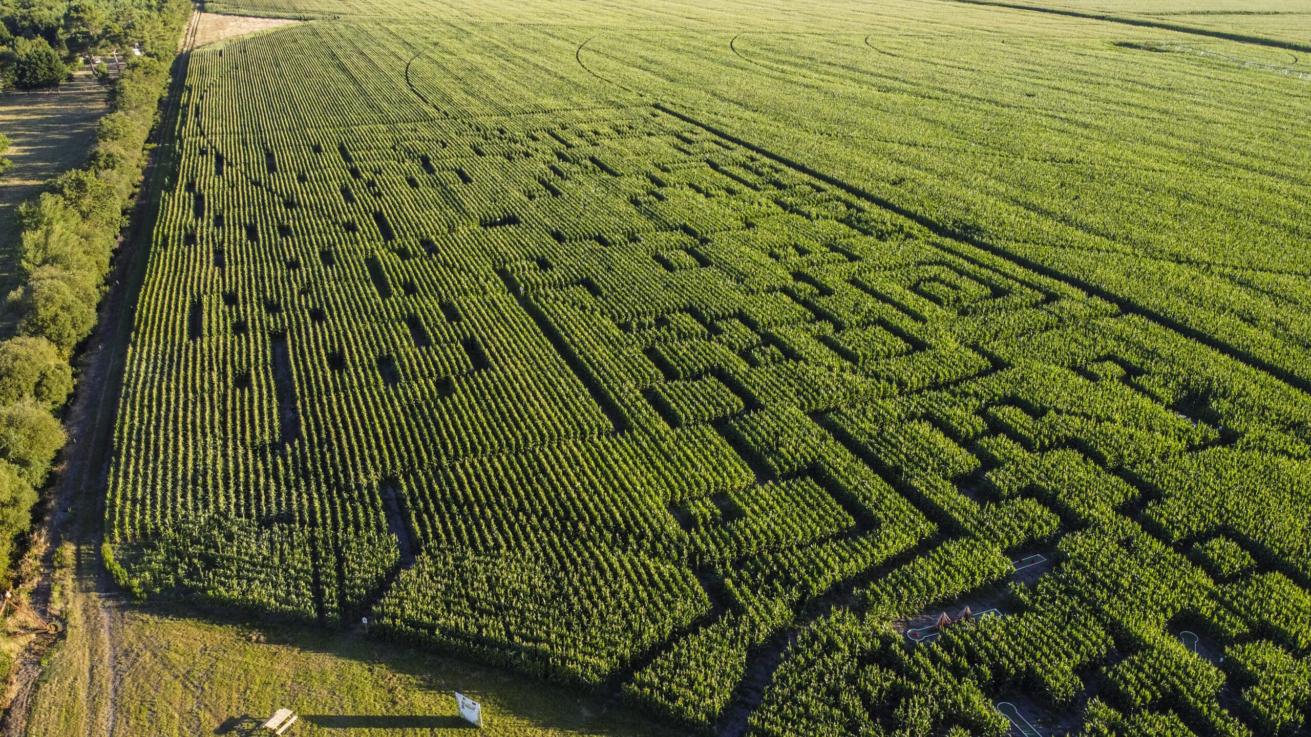 Labyrinthe de maïs complexe vu du ciel dans un champ ensoleillé bordé d'arbres avec un mini-golf.