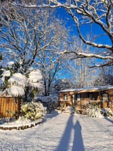 Mobil-home en bois et palmier sous une épaisse couche de neige sous un ciel bleu d'hiver étincelant.