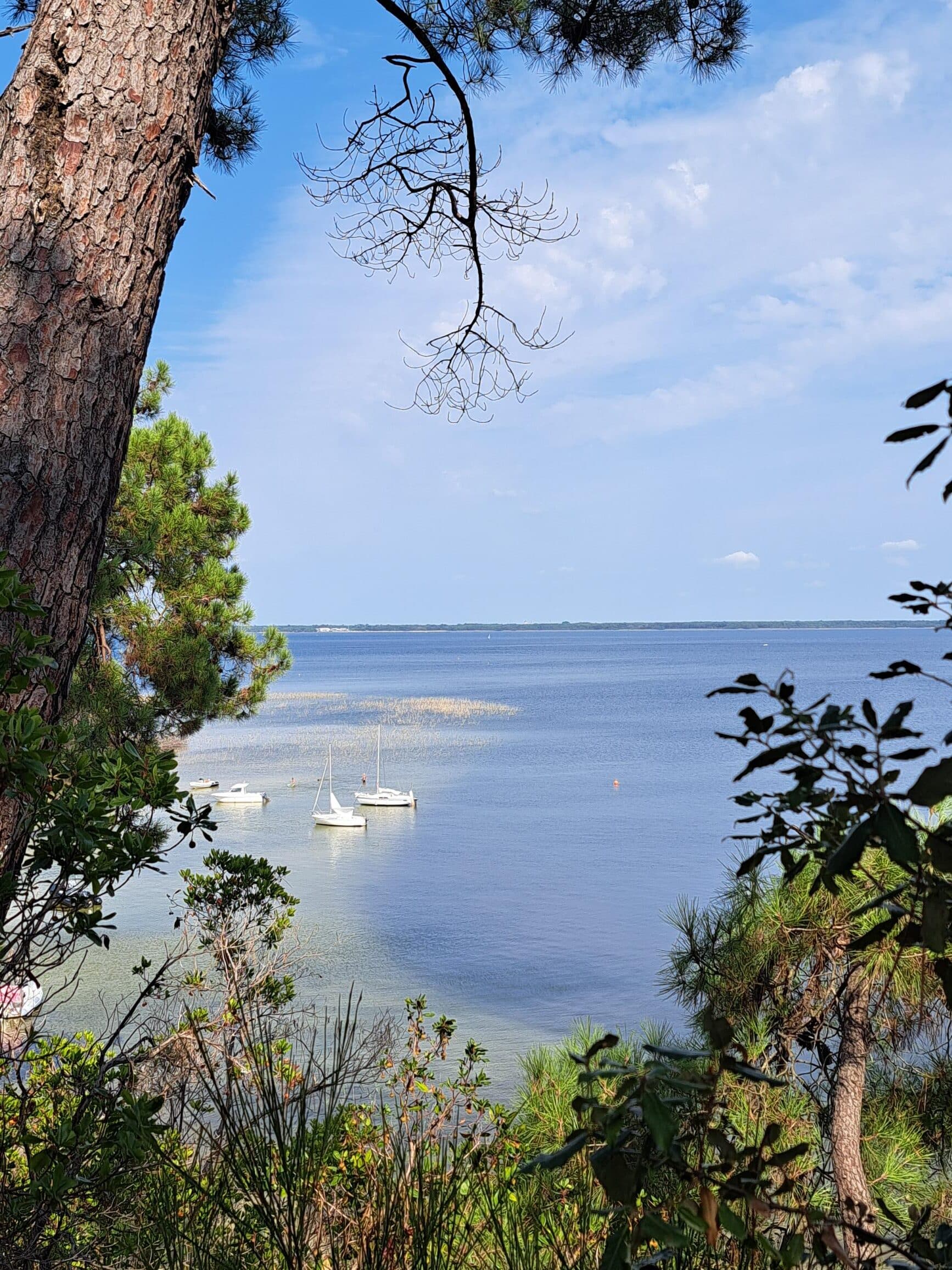 Bateaux blancs sur un lac paisible encadrés par des pins et du feuillage sous un ciel bleu.