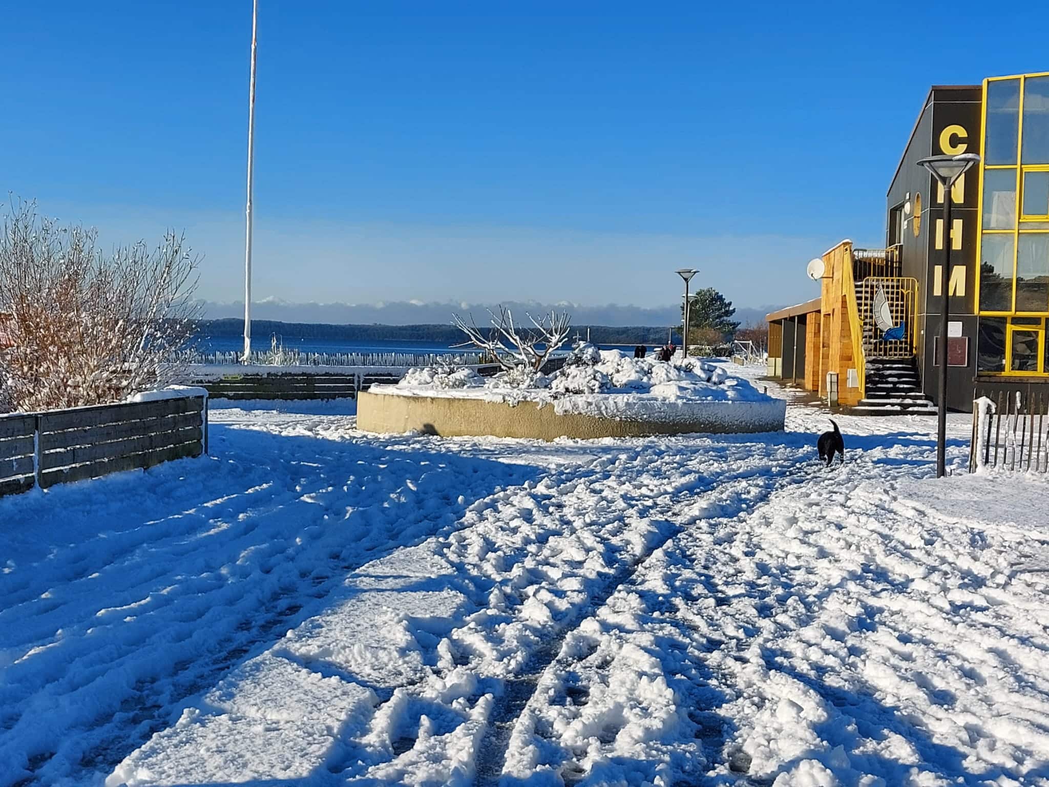 Chien noir dans la neige devant un bâtiment moderne avec l'inscription C. Vue sur l'eau et les montagnes enneigées.