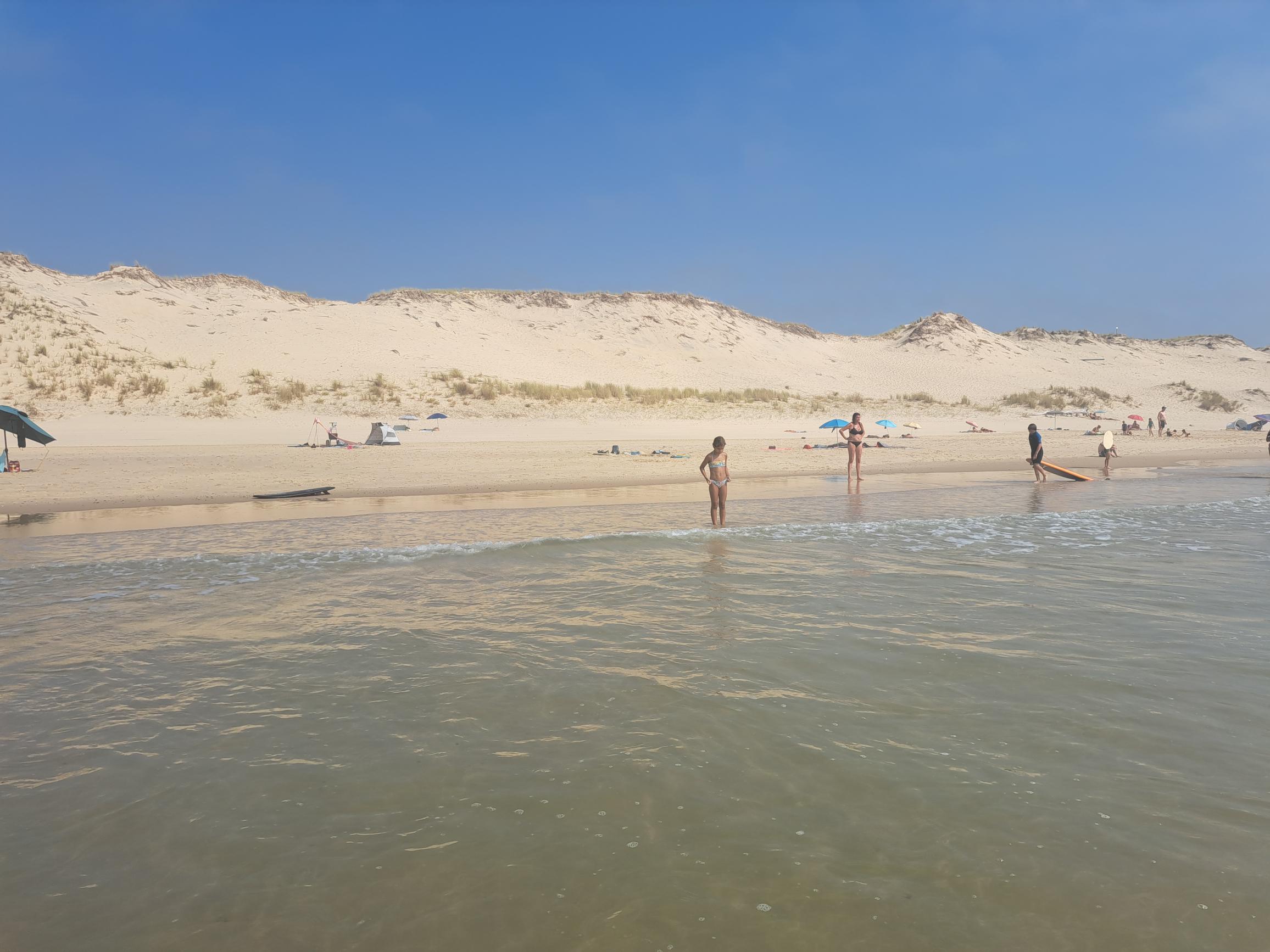 Vacanciers sur une plage de sable fin bordée de hautes dunes sous un ciel bleu d'été dégagé.
